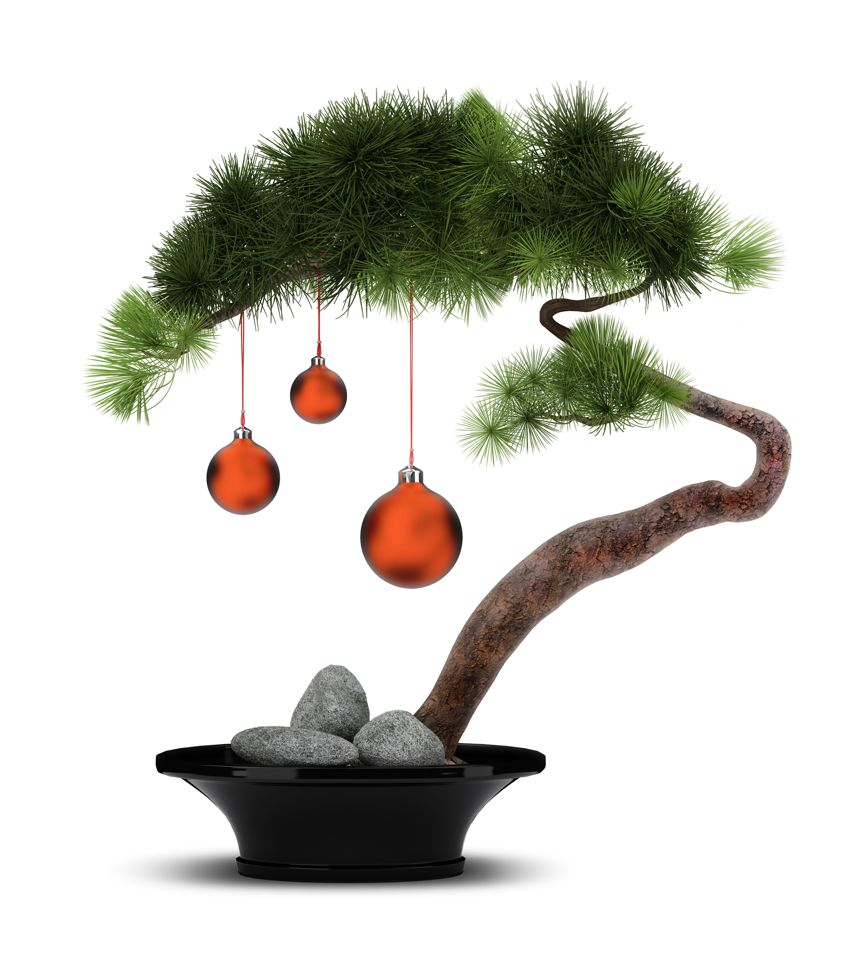 Bonsai pine with red ornaments