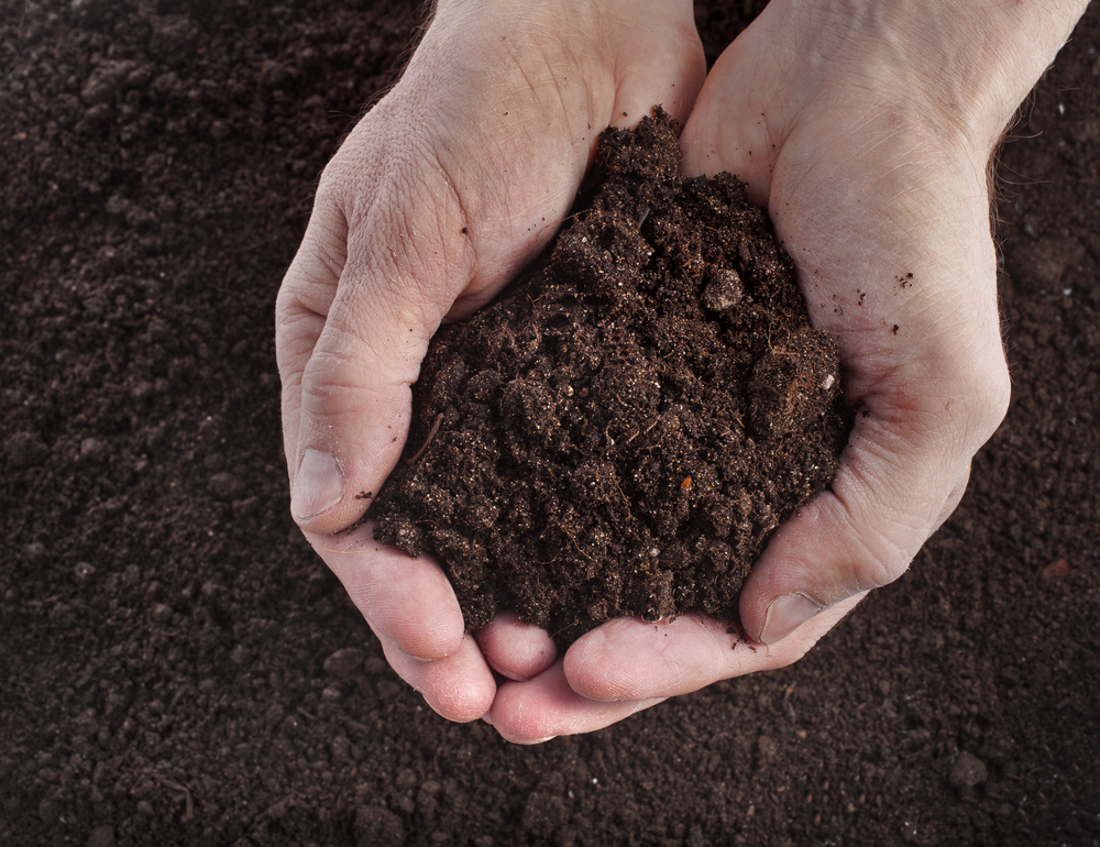 Hands holding rich soil